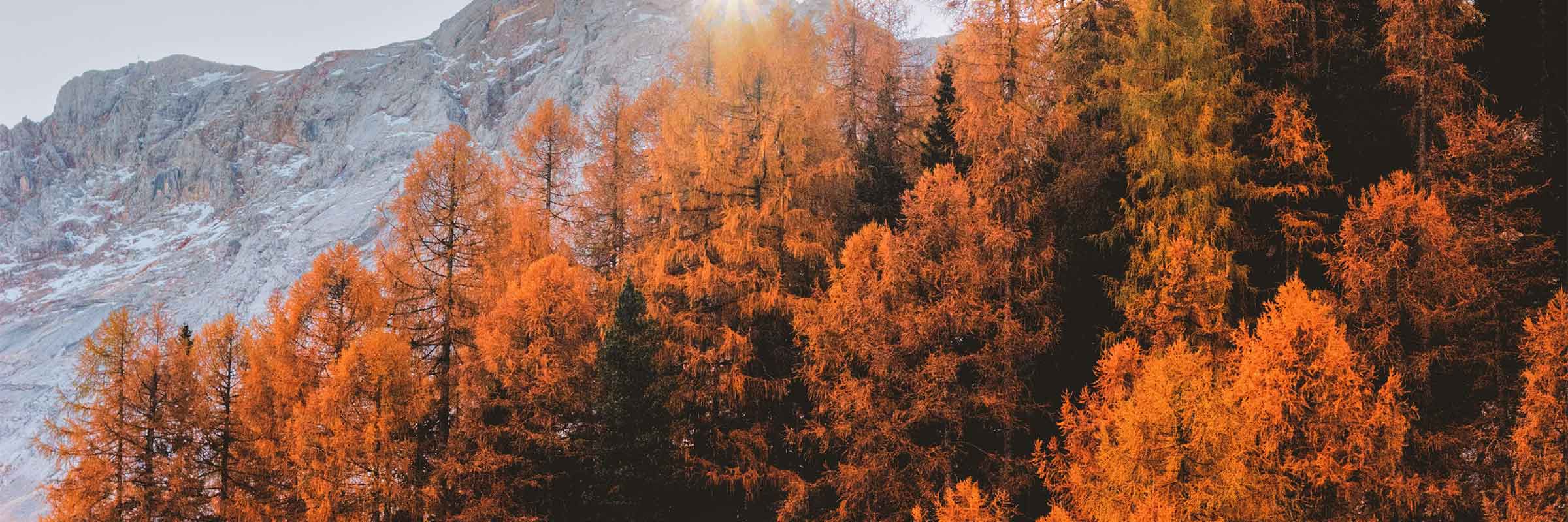 Moderns akcents interjerā